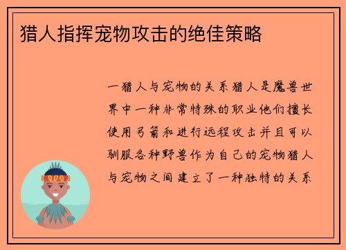 猎人指挥宠物攻击的绝佳策略