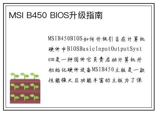 MSI B450 BIOS升级指南 MSI B450 BIOS升级指南